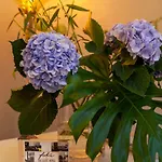 Lejlighedshotel The Fabric 3*