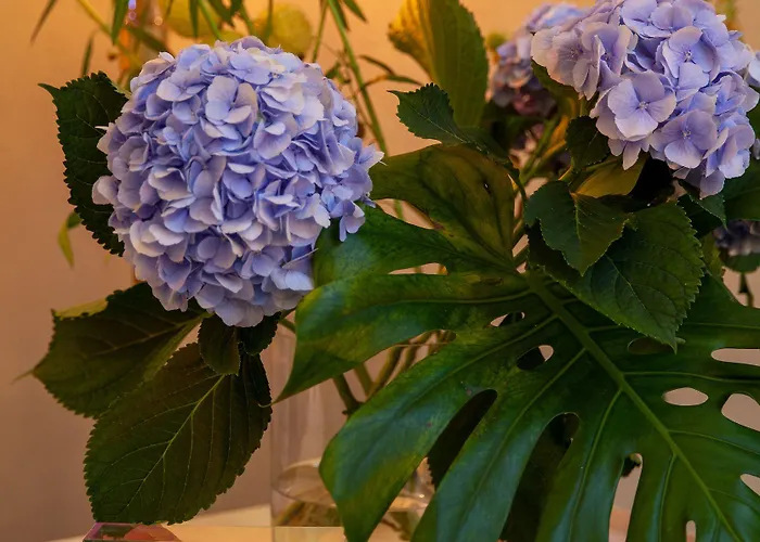 Hotel apartamentowy The Fabric 3*