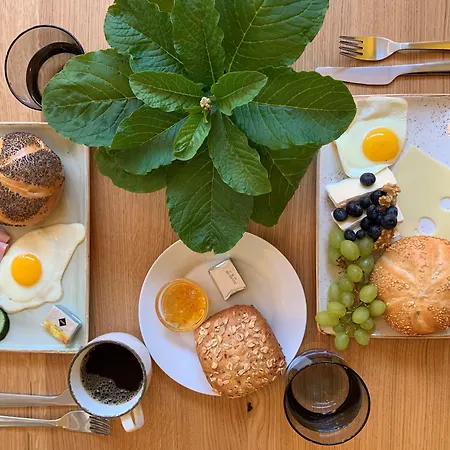 法布里克套房酒店 3* 美因河畔法兰克福